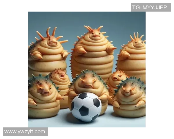 足球巨星倾情代言海参品牌引领健康饮食新风潮 足球巨星倾情代言海参品牌引领健康饮食新风潮