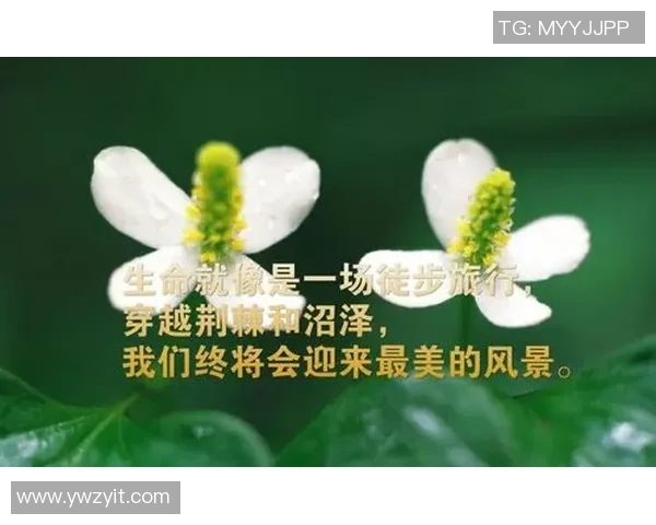 足球明星球员的励志名言激励你追逐梦想与坚持不懈的精神 足球明星球员的励志名言激励你追逐梦想与坚持不懈的精神