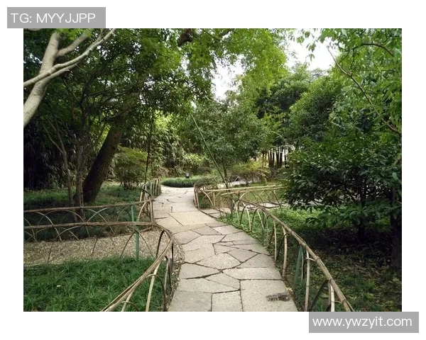 足球明星的爱情故事揭秘:绿茵场上的浪漫与情感纠葛 足球明星的爱情故事揭秘:绿茵场上的浪漫与情感纠葛