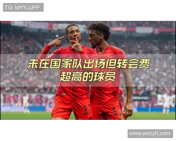 足球转会与足球明星的价值对比分析哪一方更具吸引力 足球转会与足球明星的价值对比分析哪一方更具吸引力