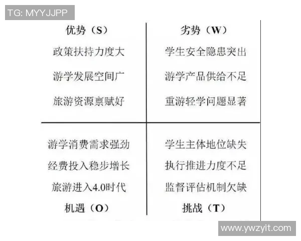 重庆排球队心理素质深度对比分析与提升策略探讨