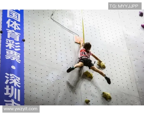 攀岩团队协作排行榜：南京攀岩队位居第8名